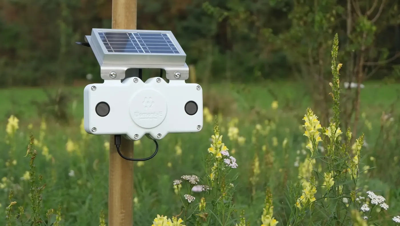 Un sensore 3Bee alimentato a energia solare in un prato fiorito